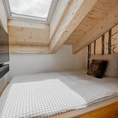 Cozy Penthouse Daire *